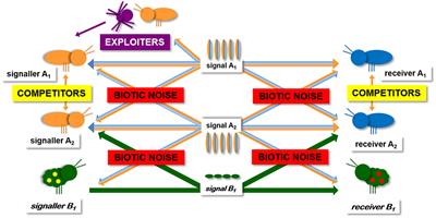 Frontiers | Predator-Prey Interactions And Eavesdropping In Vibrational ...